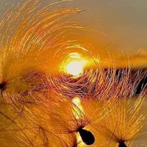 O Signo De Libra E O Poder Dos Relacionamentos Na Sua Vida 3 - Terapia Com Jay O Sol No Signo De Libra